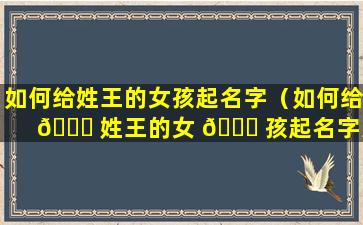 如何给姓王的女孩起名字（如何给 🐘 姓王的女 🐘 孩起名字大全）